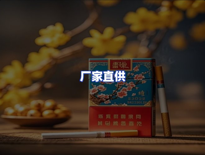 专业团队